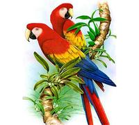 Canevas Broderie Point De Croix Kit Complet Adulte Debutant Oiseau Perroquet Animal Diy 11Ct Broderie Au Point De Croix Kit Broderie Point De Croix Compté Imprimé Enfant Débutant Adulte Anglaise, Ea