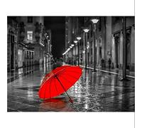 Canevas Broderie Point De Croix Kit Complet Adulte Debutant Parapluie Rouge Rose Fleur Imprimé Toile 11Ct Point De Croix Motifs De Broderie Dmc Fils Travail Manuel Couture À La Main Kit Broderie