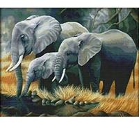 Canevas Broderie Point de Croix Kit Complet Adulte Kit Broderie Imprimé Enfant Débutant Adulte Easy Set Loisirs CréAtifs Broderie Cross Stitch Kits (Éléphant Mangeant De L'herbe, Fil De Coton)