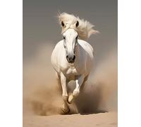 Canevas Broderie Point de Croix Kit Complet, Cheval Animal cheval blanc en cours d'exécution, 40*50cm, DIY Arts Crafts Kits de couture à la main Broderie estampée pour les débutants Motif pré-imprimé