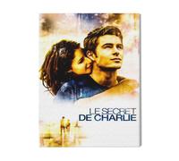 Canevas Imprimer Film Cinéma Charlie St Cloud 2=3008 Diy Installer 40x50cm Sur Toil