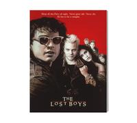 Canevas Imprimer Film Cinéma Les Garçons Perdus=24 Diy Installer 40x50cm Sur Toi