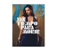 Canevas Imprimer Film Cinéma Pas Le Temps De Mourir 007=593 Diy Installer 40x50cm Sur Toil