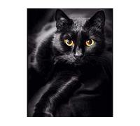 Canevas kit complet,Animaux Chat noir,11CT adulte kit canevas complet avec fils,debutant broderie point de croix imprimé,40x50cm