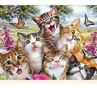 Canevas kit complet,Chat qui aime prendre des photos,11CT adulte kit canevas complet avec fils,debutant broderie point de croix imprimé,40x50cm