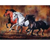 Canevas kit complet,Cheval noir,11CT adulte kit canevas complet avec fils,debutant broderie point de croix imprimé,40x50cm