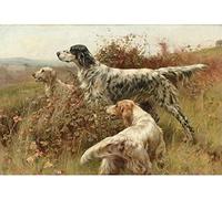 Canevas kit complet,Chien de chasse,11CT adulte kit canevas complet avec fils,debutant broderie point de croix imprimé,40x50cm