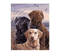 Canevas kit complet,Chien labrador,11CT adulte kit canevas complet avec fils,debutant broderie point de croix imprimé,40x50cm