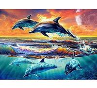 Canevas kit complet,Dauphin Coucher de Soleil Mer,11CT adulte kit canevas complet avec fils,debutant broderie point de croix imprimé,40x50cm