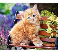 Canevas kit complet,Fleur de chat,11CT adulte kit canevas complet avec fils,debutant broderie point de croix imprimé,40x50cm