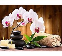 Canevas kit complet,Orchid,11CT adulte kit canevas complet avec fils,debutant broderie point de croix imprimé,40x50cm