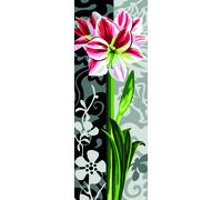 Canevas Penelope 25x60 - Mrcu62234