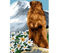 Canevas Penelope 30x40 Mrcu722328