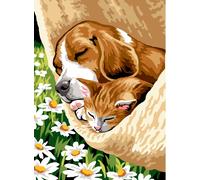 Canevas Penelope 30x40 Mrcu722341