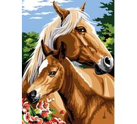 Canevas Seg Canevas Mon Poulain 40x50 Cm - Se926.350