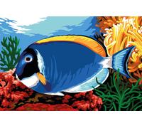 Canevas Seg Chirurgien Bleu 60 X 40 Cm - Se928.376