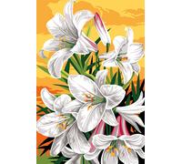 Canevas Seg Lys 60 X 40 Cm - Se928.383