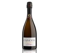 CANEVEL "SETÀGE BRUT" 2024 | Valdobbiadene Prosecco Superiore DOCG | 750 ml | 1 bottle