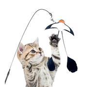 Cani à Plume pour Chat Jouet Design Hirondelle pour Exercice et Mouvement