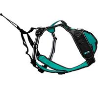 CANI C GEAR, Harnais, Modèle SYMBIOZ, Couleur Noir/Turquoise, Doublure en néoprène Anti-Irritation, Utilisation Sportive avec Sangles Amovibles, Garanti à Vie, XXS