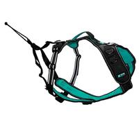 Harnais pour chien - SYMBIOZ - S - Noir / Bleu