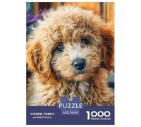 Caniche 1000 Pièces Small Chien Puzzle pour Adultes Jeu Éducatif Défi Décoration Moderne Adultes Et Adolescents Dès 14 Ans 70x50cm/1000pcs