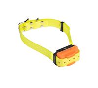 Canicom R - Collier de Dressage Rechargeable pour Chien - Sangle Jaune