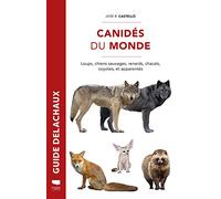Canidés du Monde: Loups, chiens sauvages, renards, chacals, coyotes et apparentés