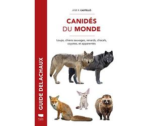 Canidés du Monde: Loups, chiens sauvages, renards, chacals, coyotes et apparentés