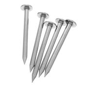 CANIGHT Bornes de Levé Topographique en Métal 5 Pièces Clous à Tête Plate Argent pour Points de Contrôle et Observation Compact pour Applications Variées