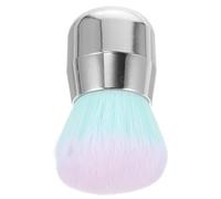 CANIGHT Brosse à Cheveux Professionnelle en Plastique et Fibre pour Salon de Coiffure, Brosse Douce pour Nettoyage des Cheveux et Poils D'animaux, Résistante et Facile à Utiliser