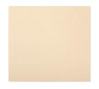 CANIGHT Feuilles de Papier Parchemin Léger et Portable Beige Vintage Lot de 10 Papier Ancien pour Écrire Texture Parchemin pour Rituels et Cérémonies