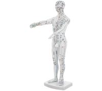 CANIGHT Modèle d'Apprentissage du Corps en Plastique Blanc, Mannequin pour Massage et Cours, Outil Éducatif pour Étudiants