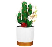 CANIGHT Plantes Artificielles Décoratives Cactus Imitation Pot pour Décoration de Table pour Intérieur et Extérieur Ornements Durables et Esthétiques pour Petits