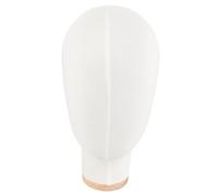 CANIGHT Présentoir de pour tête de mannequin pour salle d'exposition non dommageable