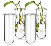 CANIGHT Vases en Verre pour Hydroponie Lot de 4 Compact et Résistant, Tubes à Essai pour Fleurs en Intérieur et Jardin