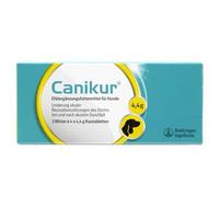 CANIKUR Comprimés à mâcher pour chien - Complément alimentaire pour soulager les troubles aigus de l'absorption intestinale pendant et après une diarrhée aiguë, 12 pièces.