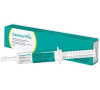 Boehringer Ingelheim Pâte orale Canikur Pro Flore intestinale pour chiens et chats 30 ml