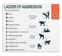 Canine Aggression Hierarchy Guide Poster Canvas Painting Wall Hanging for Living Room Bedroom Vet Clinic(Unframed,16x24inch(40x60cm))