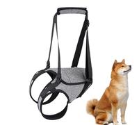 Canine Mobility Support Harnais de soutien pour les jambes arrière, sangle d'aide à la marche, harnais confortable pour chien, avec poignée, pour la récupération des blessures, l'assistance aux