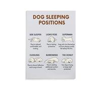Canine Sleeping Positions Chart Poster - Understand Your Dog's Health and Mood with Educational Guide Wall Art(Unframed,08x12inch(20x30cm))