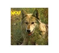 Canis Lupus