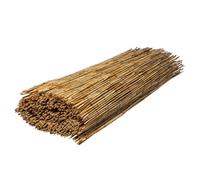 Canisse WERKA PRO 2 x 5 m naturelle marron