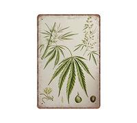 Cannabis Sativa - Tableau botanique éducatif vintage à base de plantes, diagramme en étain - Vieux décor de hasch de chanvre - Panneau en métal amusant pour pub, cuisine, jardin, salle de bain, décora