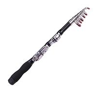 Canne A Peche,Canne A Peche Mer Jianghu Ultra Court Petite Mer Pêche à Glace Mini 1 mètre de,2,5,9 m, mètres(1.7m)