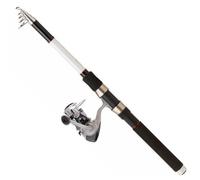 Canne à pêche - DAIWA - SW 21 T AF + Q8 30 FM - Pêche en mer - Nylon - Mixte