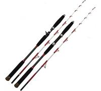 Canne à pêche en fibre de carbone 1,6 m pour la pêche en mer, 100-300 g, pour lancer/rouler, portable, avec poignée EVA, pour la pêche en bateau et la pêche au surf Casting
