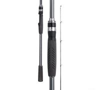 Canne à pêche en fibre de carbone axée sur la performance équipée de guides Fuji pour une utilisation en eau douce et salée (D)