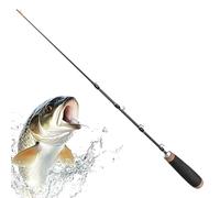 Canne à Pêche Portable - Canne Télescopique à 2 Étapes pour la Pêche sur Glace | à Extensible,pour Surf Casting, Trolling, Eau Salée et Douce, Offshore, Inshore, Camping et