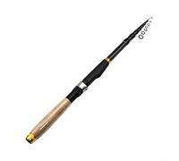 Canne à pêche portable en fibre de carbone 2,4 m pour le surf | Pointe d'action ultra dure, moulage longue distance de précision, pour une construction durable, prête pour l'eau douce et